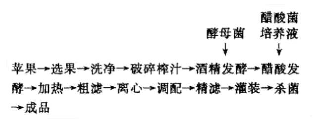 苹果醋工艺流程图